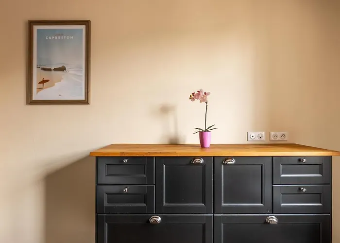 Appartement Le Cocon Du Pont Sailly- 3 - 6 Personnes - Hyper-centre